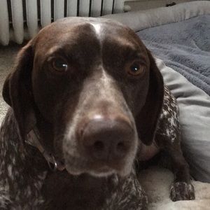 Meet your Posher, Dawn